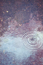 Cargar imagen en el visor de la galería, Pichicolo, risografía 30x21 cm.