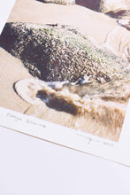 Cargar imagen en el visor de la galería, “Playa blanca“ Lámina 28x22 cm.