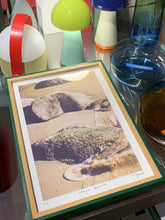 Cargar imagen en el visor de la galería, “Playa blanca“ enmarcada (A4)
